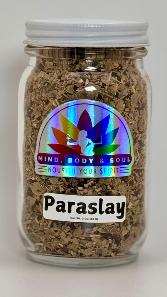 ParaSlay